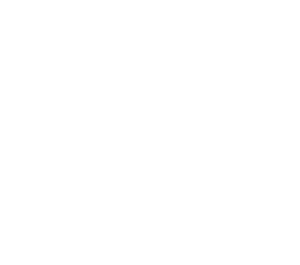 AccessNow logo white