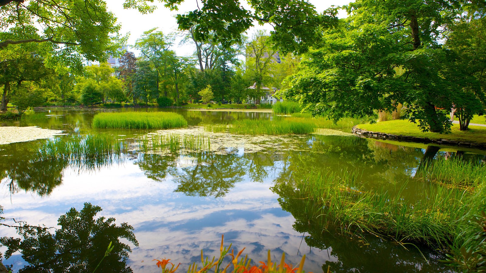 green lush halifax garden image and pond