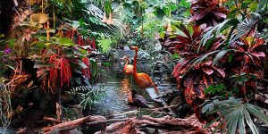 view of victoria butterfly garden featuring exotic plants and flamingos