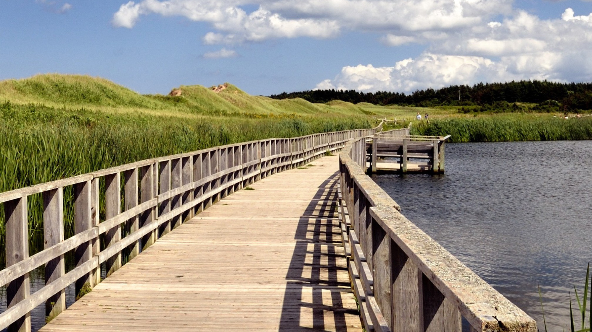 boardwalk stretching over the water alongside grassy fields