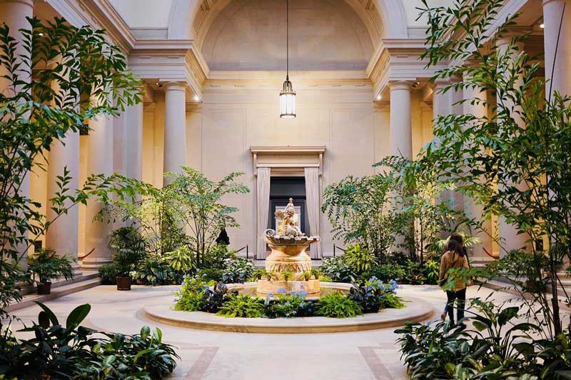 interior courtyard with lots of greenery at the national gallery of art