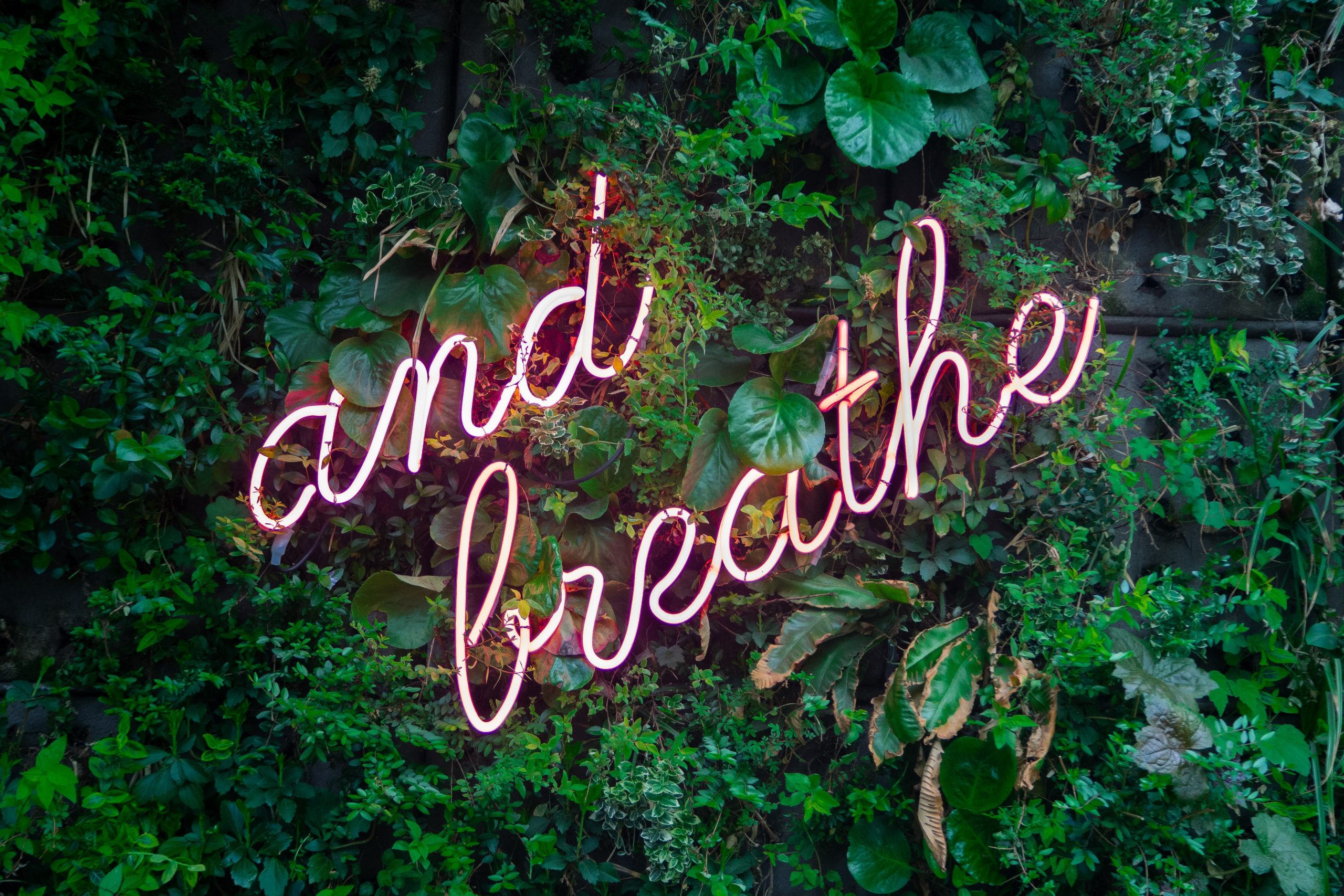 Photo of a vertical garden wall with a neon sign at the center that says "And Breathe"