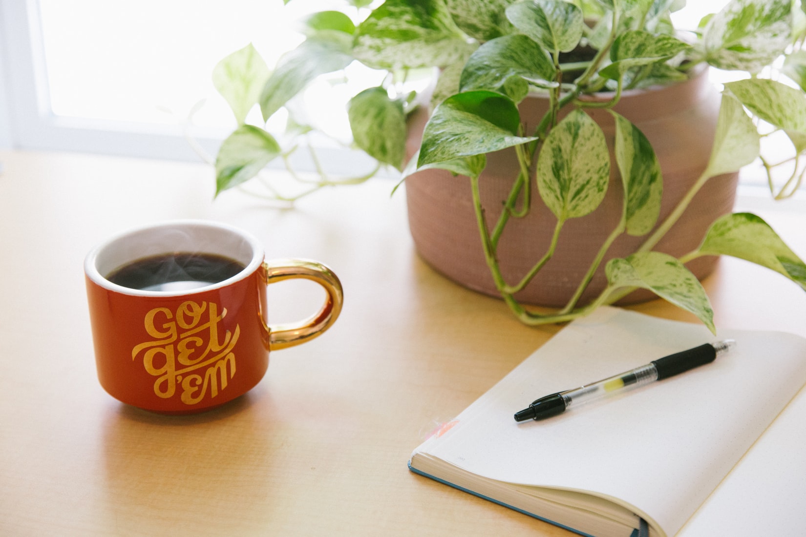 Photo with a plant, notebook and pen, and a mug that says "Go Get 'Em"