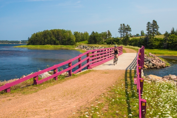 A person riding their bike over a small wooden bridge that goes over a body of water. The fencing on the side of the bridge is hot pink in colour. In the background, there are small rolling hills and lots of greenery. 