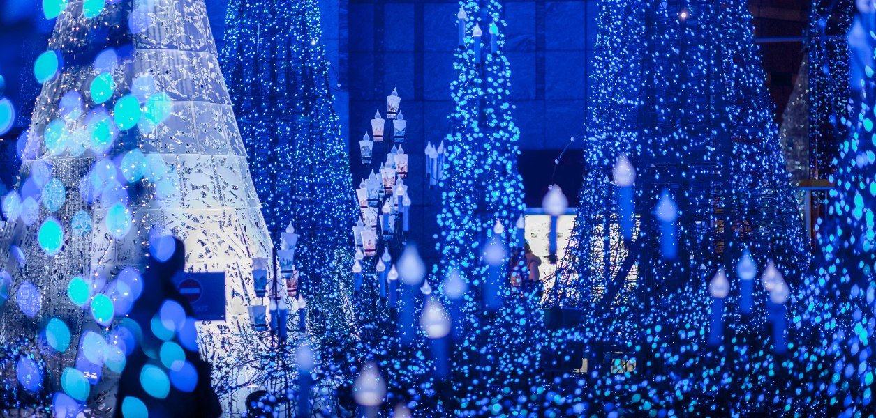 Accessible Light Shows Across Canada to Get in the Holiday Spirit