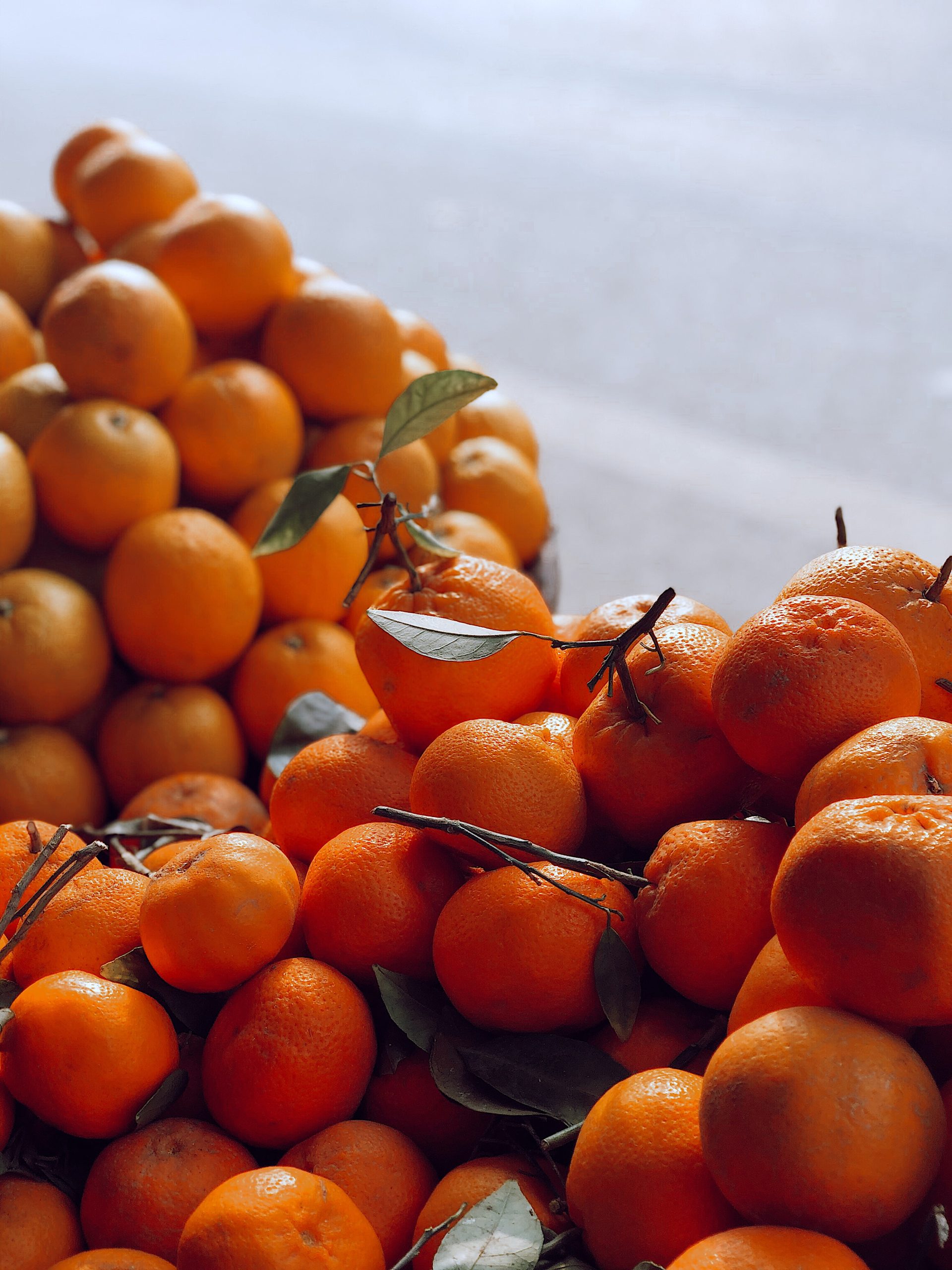 photo of many oranges with stems