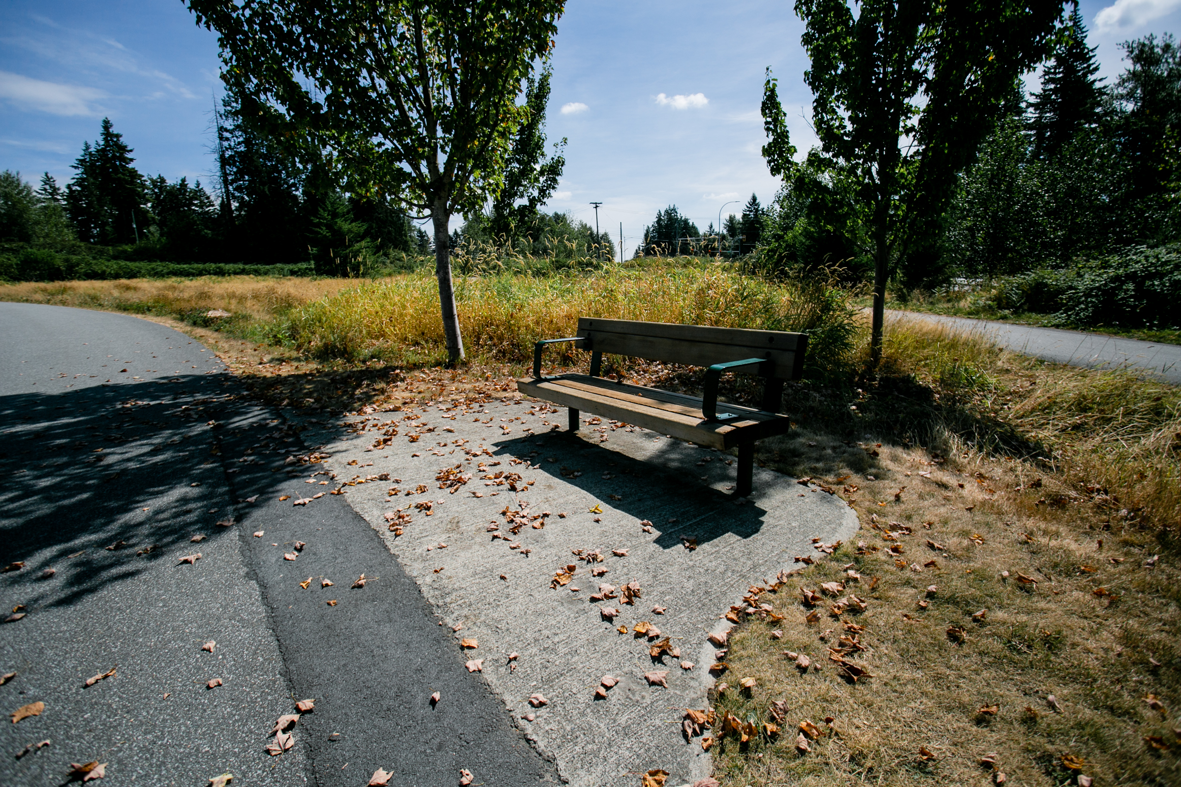 A smooth pathway winding along the edge of the ocean in Stanley Park, Vancouver. There is a large rock protruding out of the ocean close to the walkway. There are large mountains in the background, which add to the picturesque scenery seen from the trail.