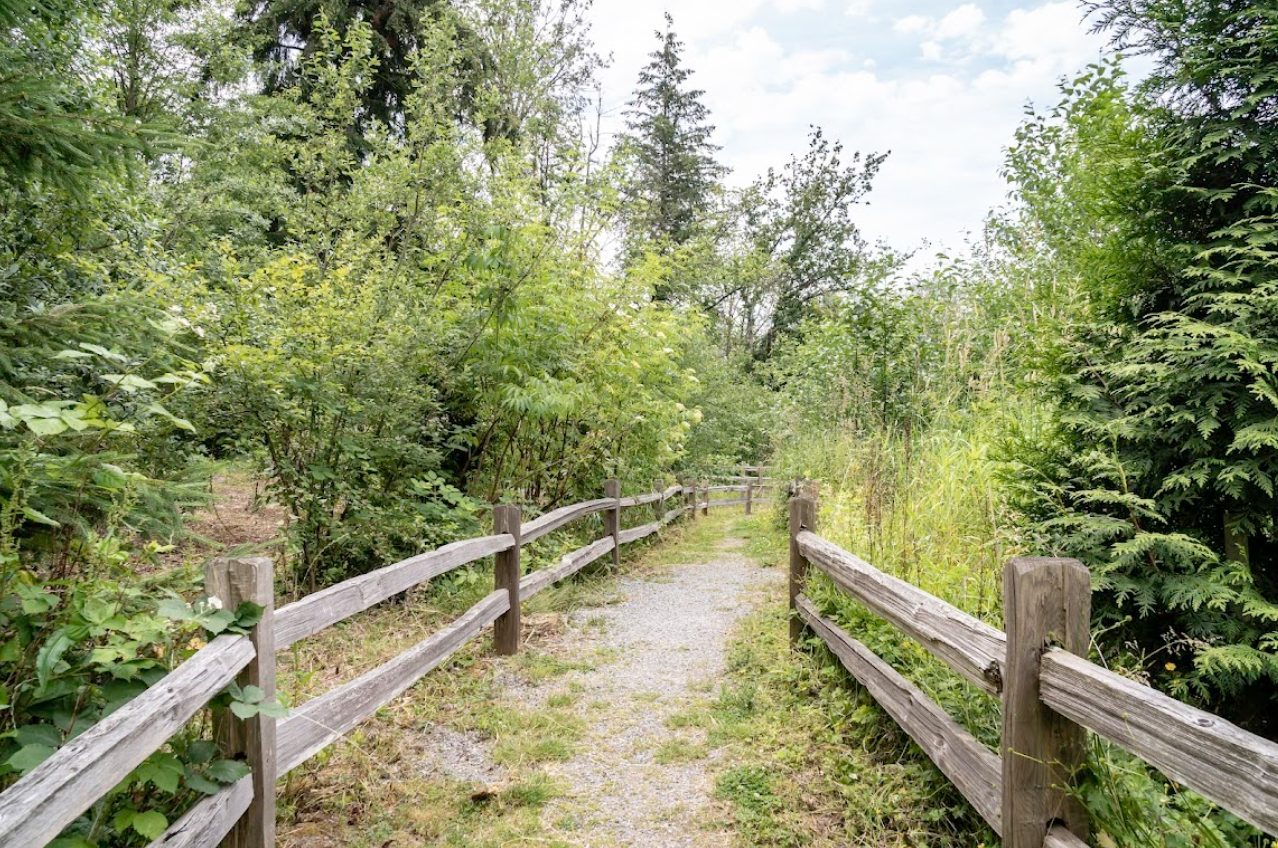 People walking on a smooth paved trail along the Bow River. A rocky / grass area separates the space between the pathway and the river. In the background you can see some high rise buildings from downtown Calgary. 