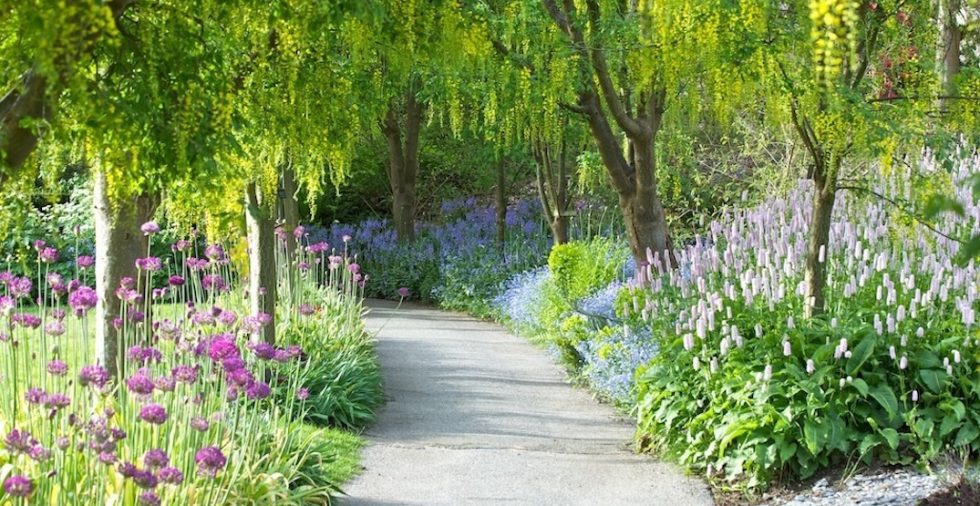 accessible trail in vandusen botanical garden