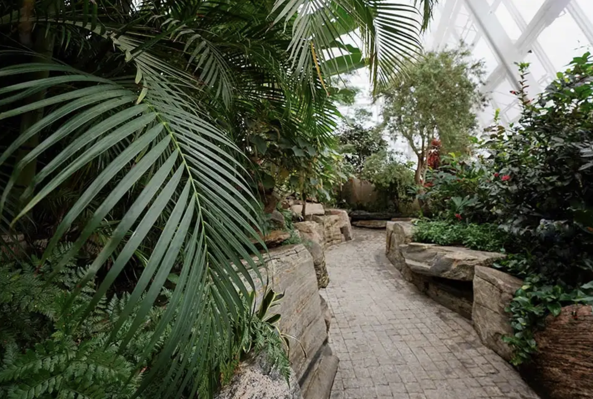 butterfly conservatory pathway with all sorts of plants