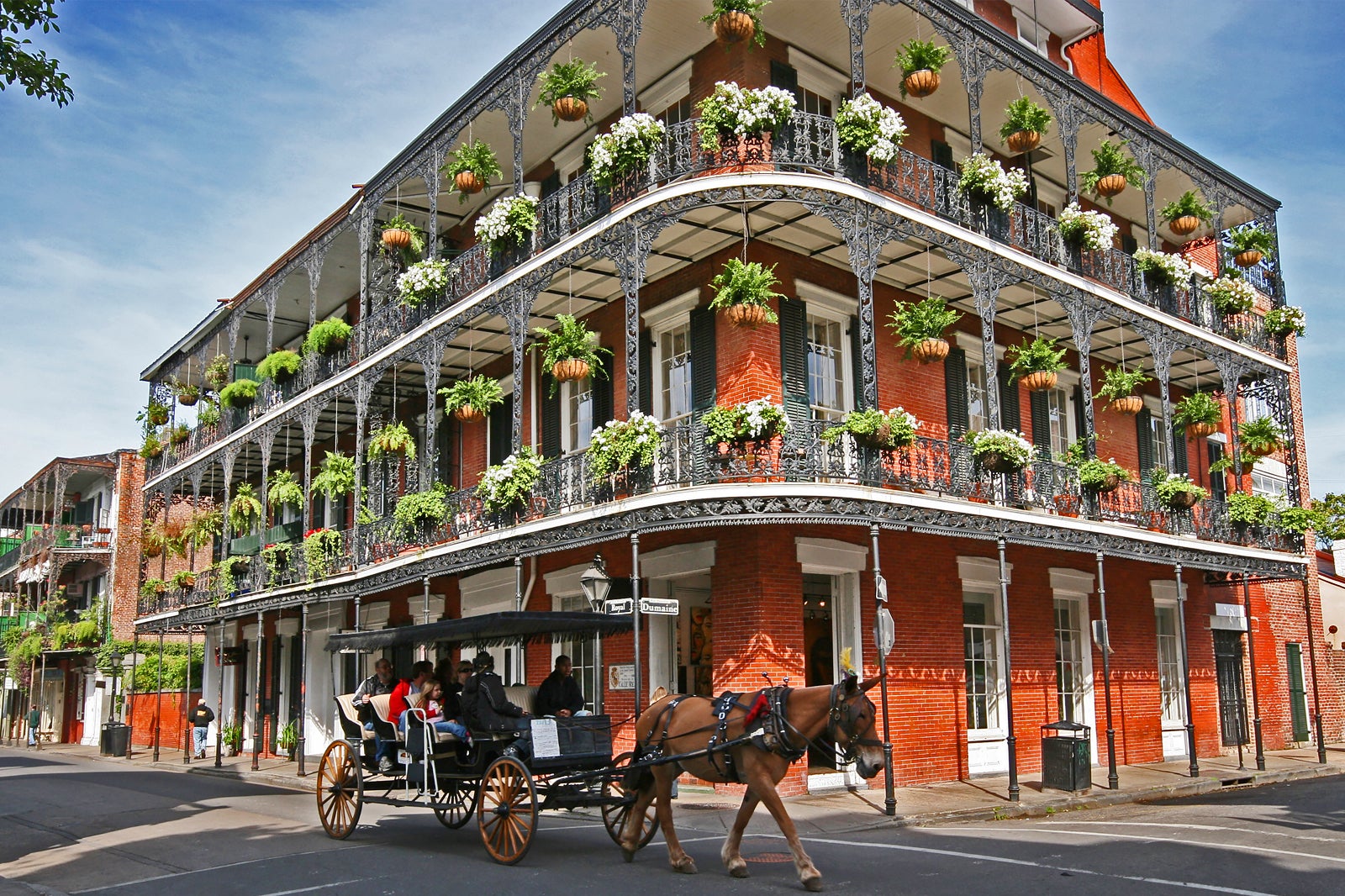 Historic buildings in French Quarter. Carriage being pulled by horse crossing the street