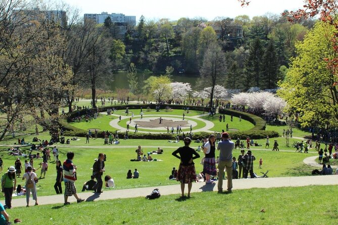 busy park on a sunny day