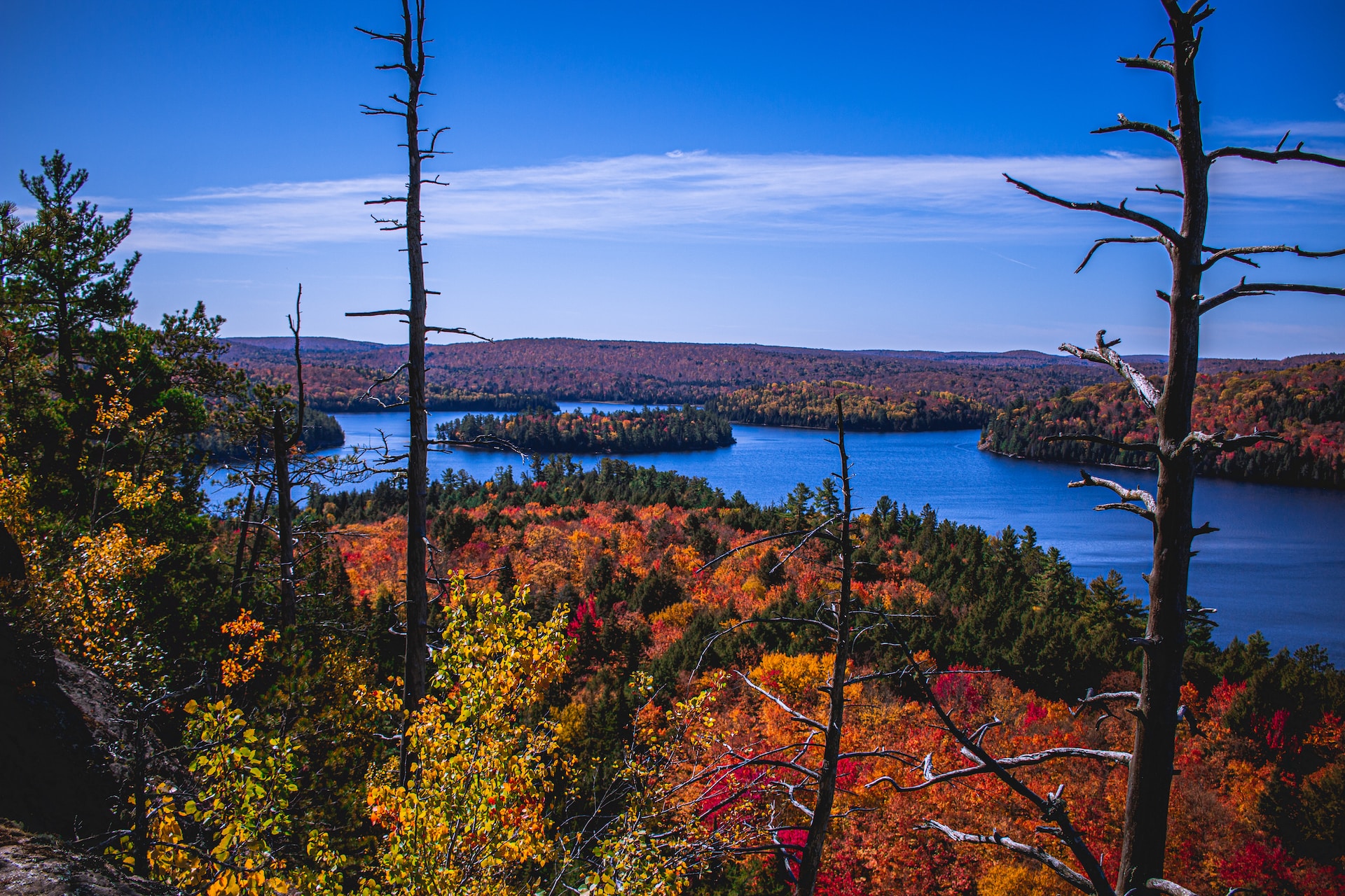 Overview image of orange fall colours of Algonkin Park with bright blue skies and blue Waters.