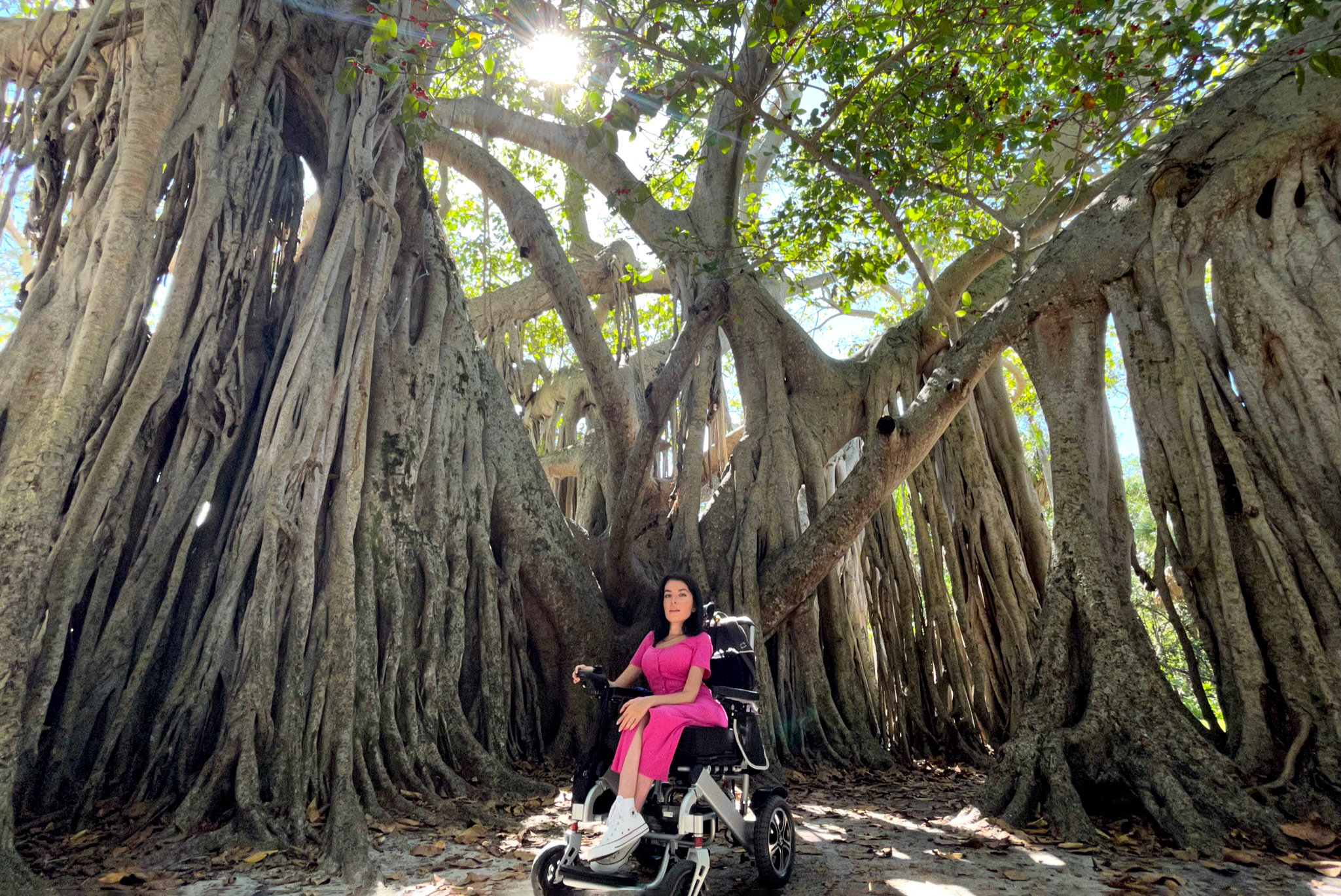 image of maayan ziv in wheelchair dwarfed by a huge treet
