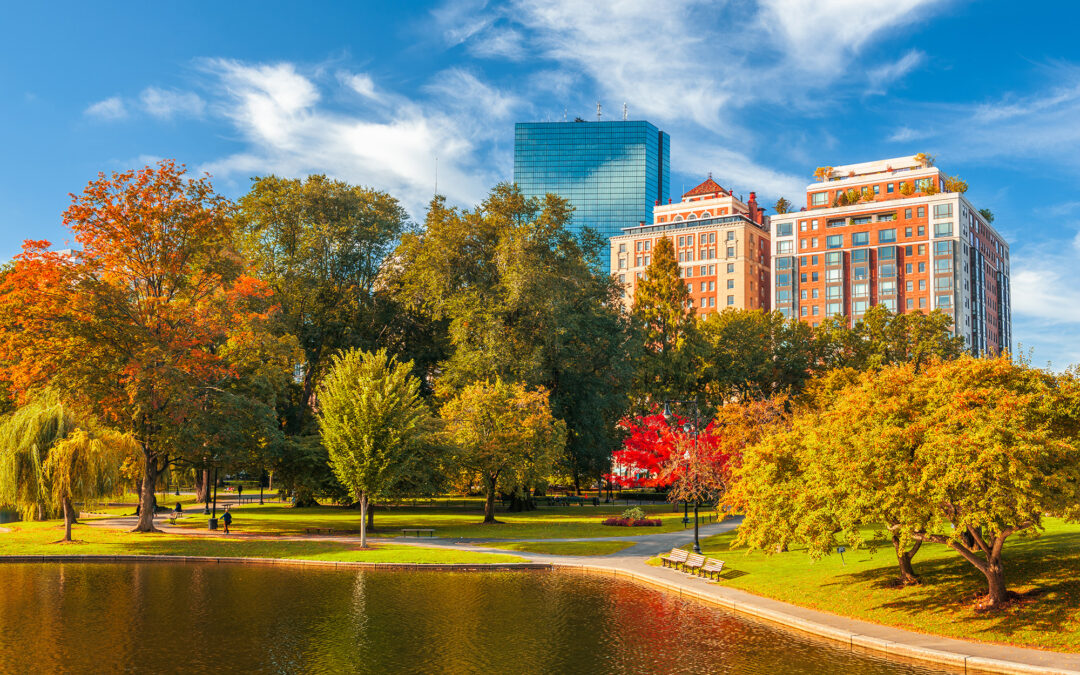 A picturesque view of Boston, Massachusetts during autumn, showcasing vibrant fall foliage with trees displaying shades of orange, red, and green. A calm pond reflects the bright blue sky, and tall buildings with glass facades and brick exteriors rise in the background. A pathway winds through the park, with benches and a few people strolling in the peaceful scene.