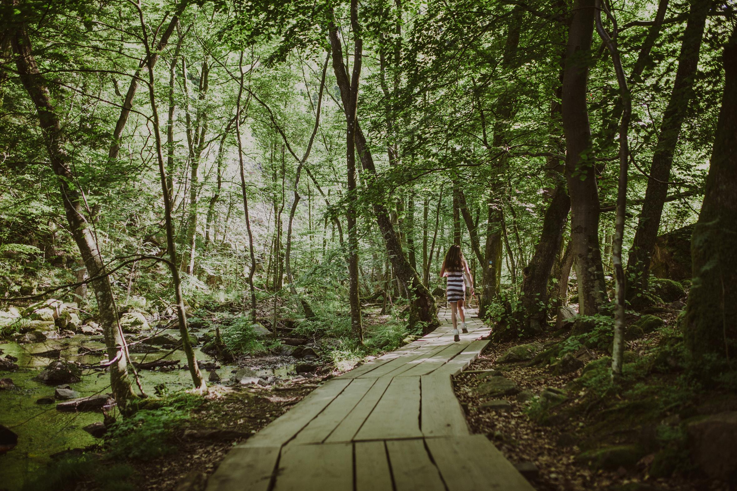 A child walking through the green, lush forest on an accessible boardwalk in Skåne, Sweden. 