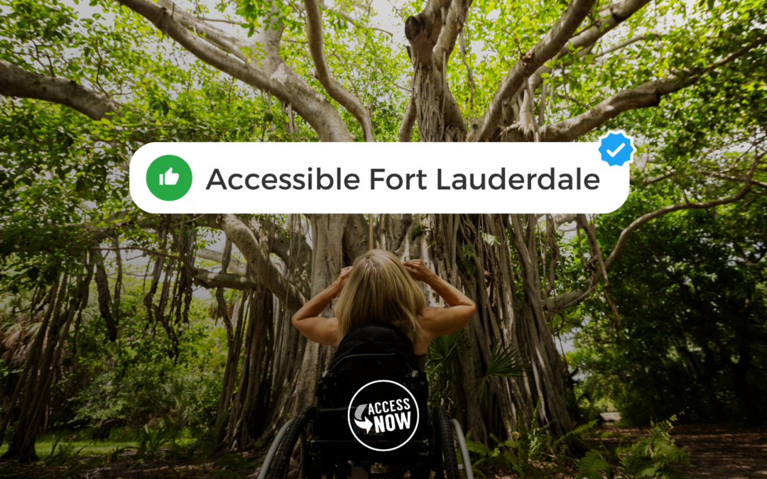 Kristin is at Hugh Taylor Birch State Park in Fort Lauderdale, Florida. Her back is facing the camera, and she is facing a giant, brown and green beautiful tree.