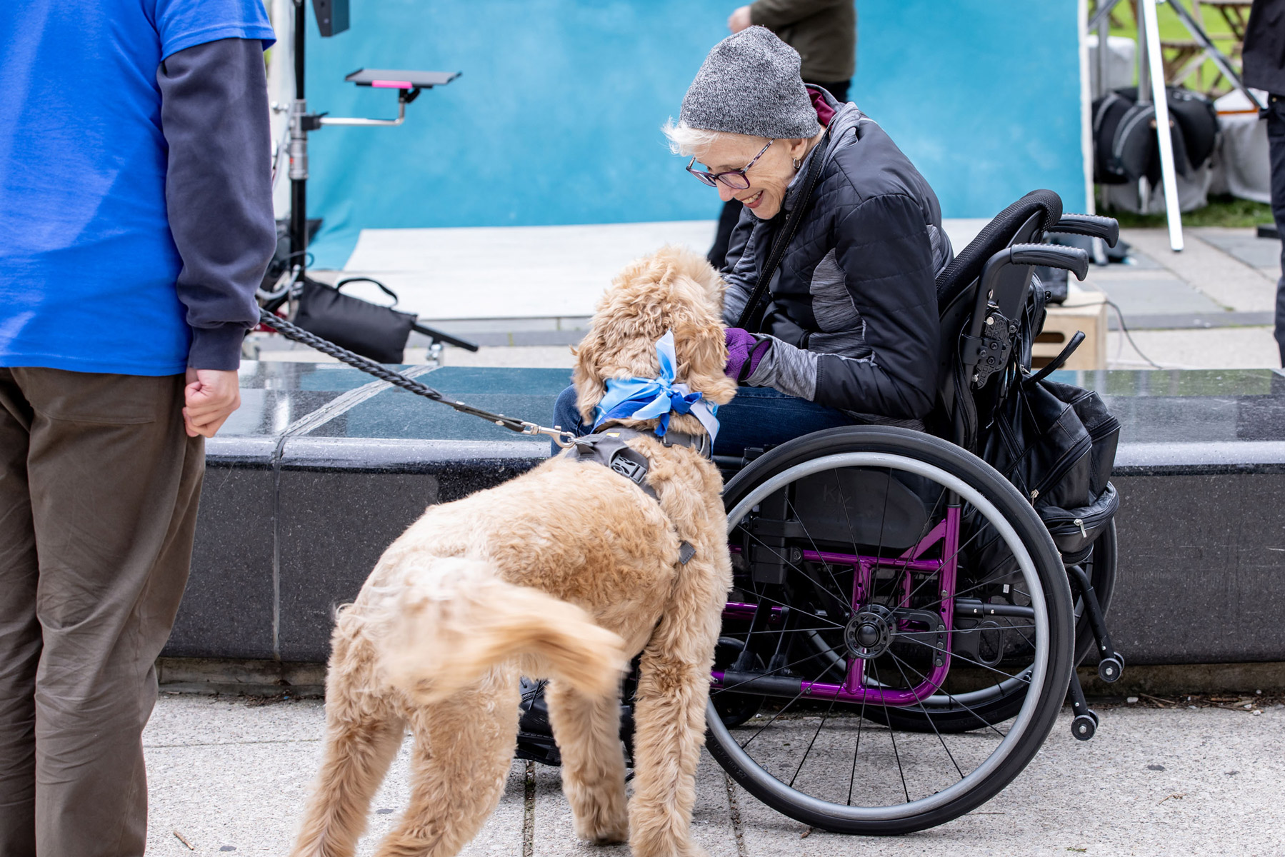 A smiling woman in a wheelchair interacts affectionately with a curly-haired service dog wearing a blue bandana and harness.