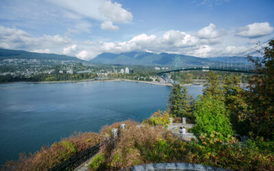 What is AccessNow Verified?