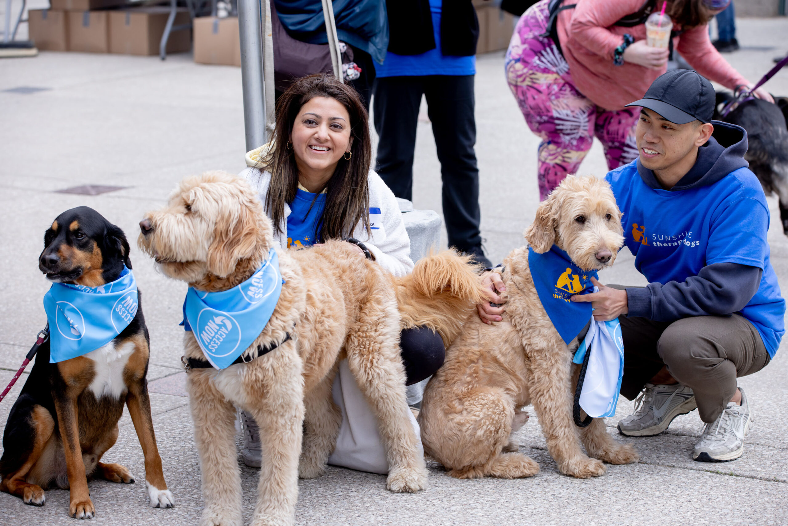 Three therapy dogs wearing blue bandanas sit with their handlers at an outdoor festival. Two volunteers in blue Sunshine Therapy Dogs shirts smile while petting the dogs, as attendees gather nearby in a public square.