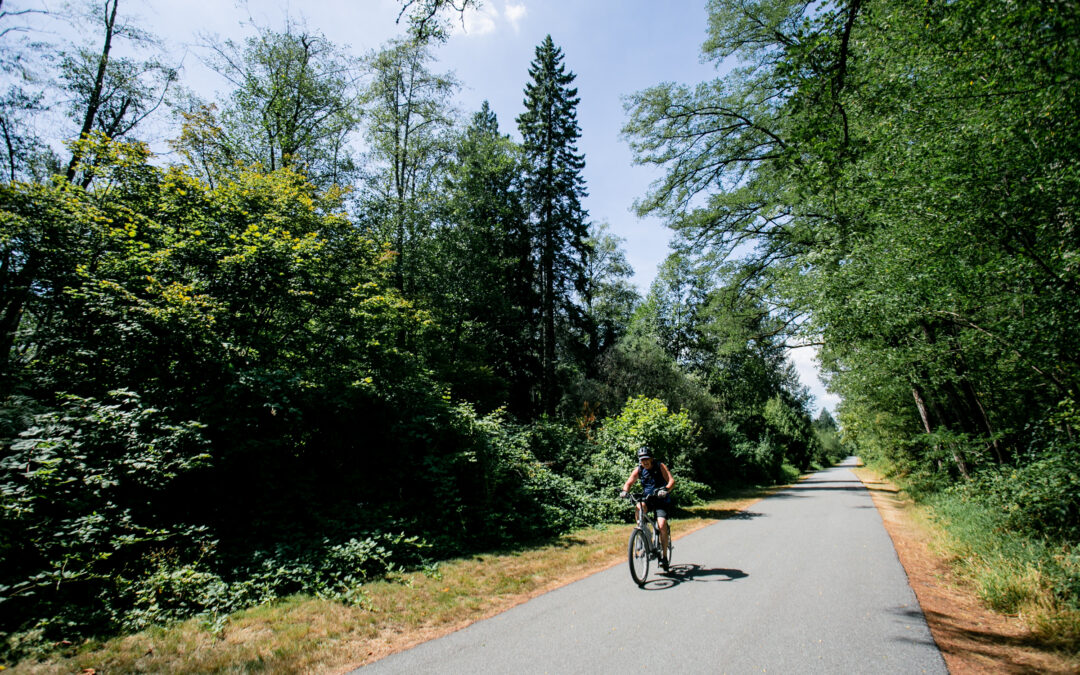 a person biking down a wide and paved trail, surrounded by forestry
