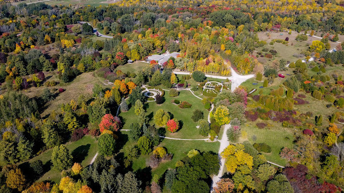 overhead shot of the trails at The Arboretum during the fall time