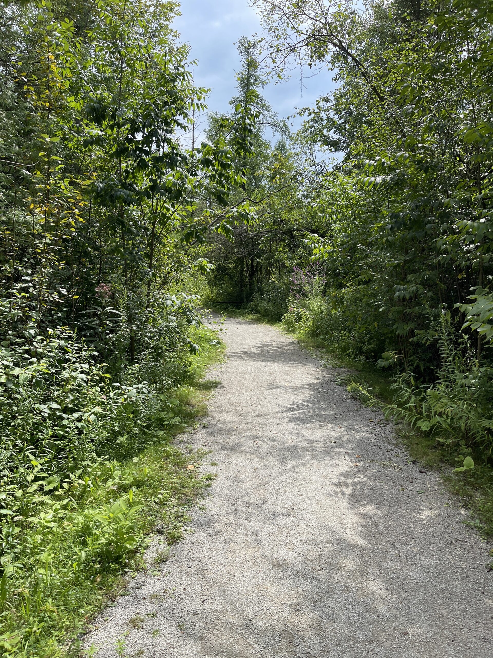 highland gate trail, showing a part of it which is paved with compact rocks and surrounded by trees and greenery
