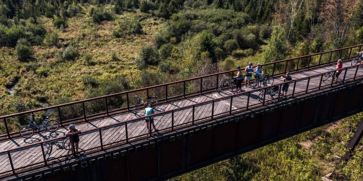 the Doube's Trestle Bridge on the Kawartha Trail, shot from an overhead view during the summer. surrounded by green and forestry, with some individuals walking down the bridge.