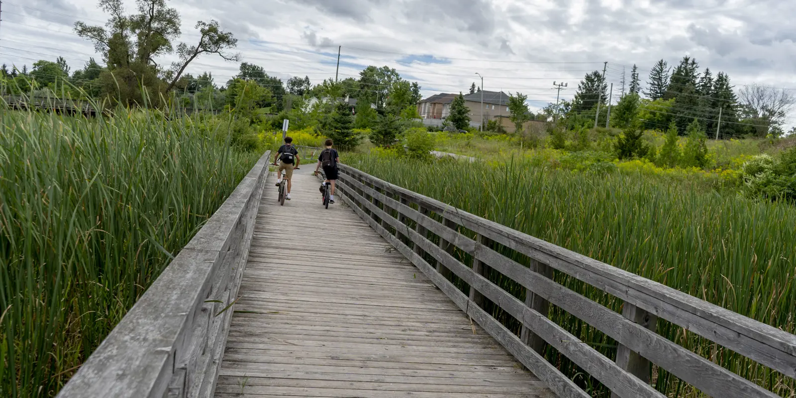 two people biking down a wooden path, surrounded by forest and greenery.